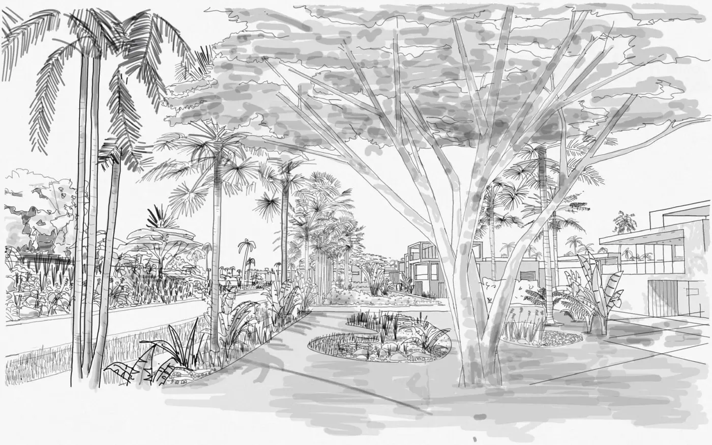 The central community wadi for cooling purposes with shady plants
