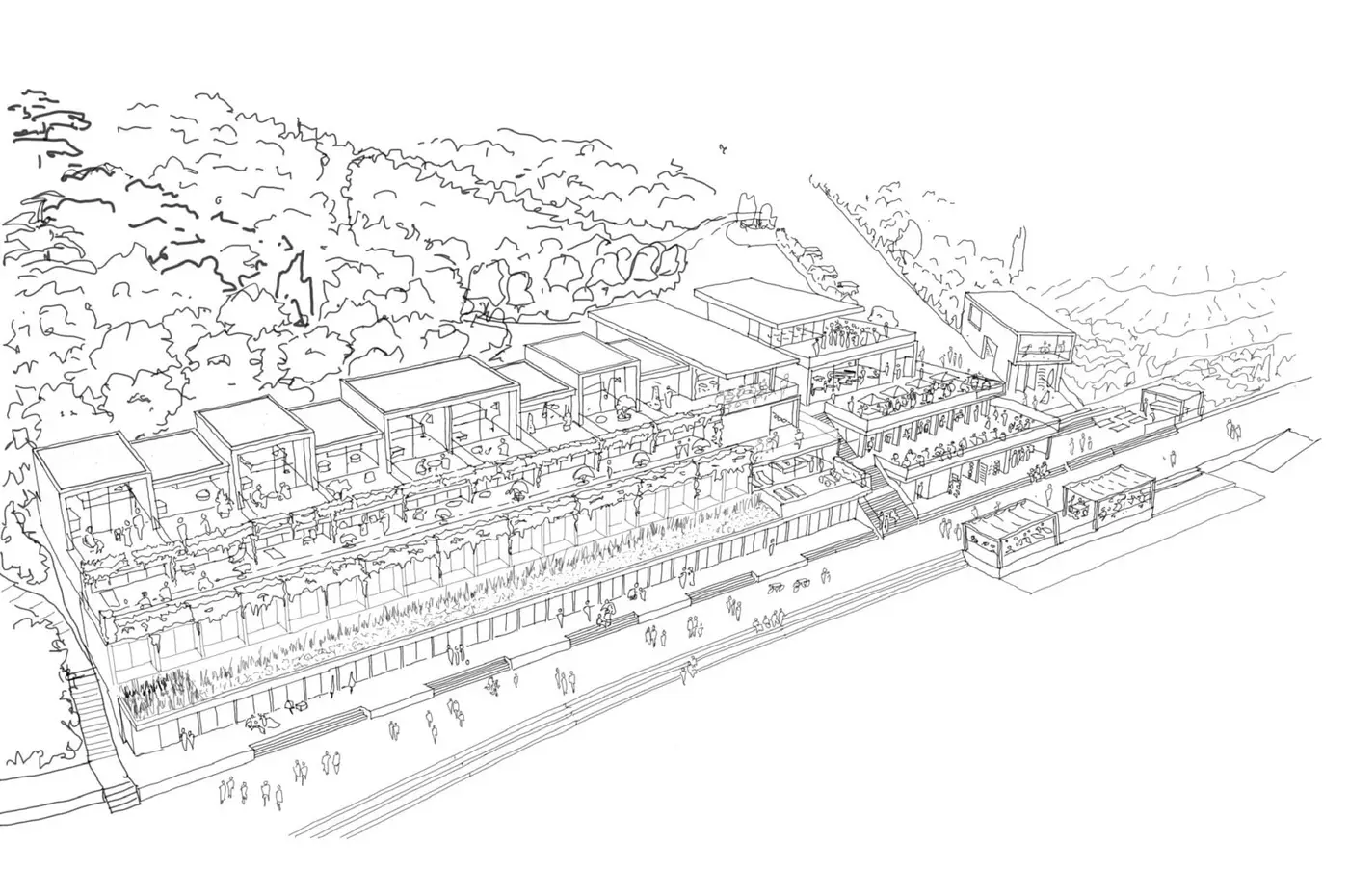 Eco-luxury Hotel & Spa - The Plover - Hotel Designer