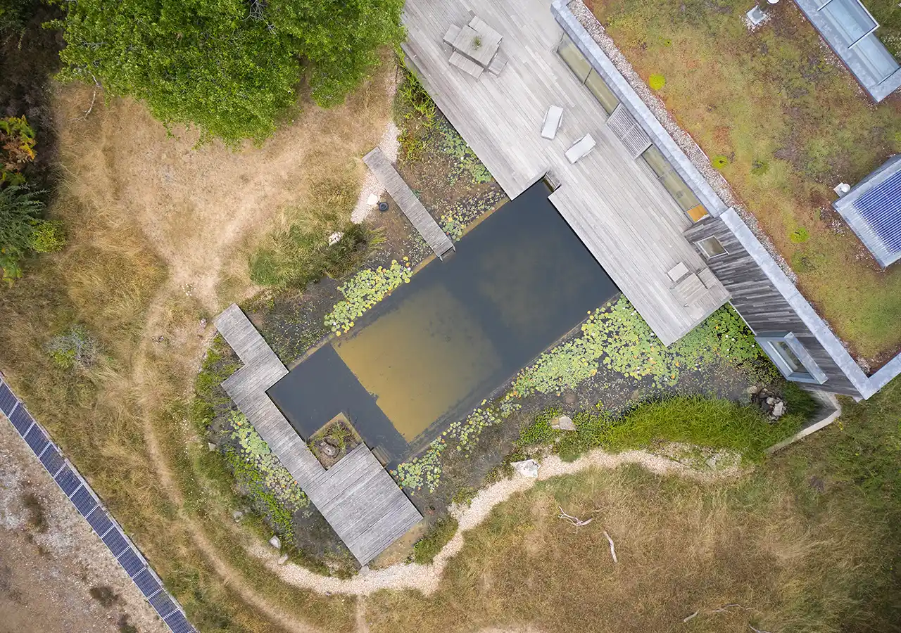 Textured aerial of the sedum roof and surrounding woodland