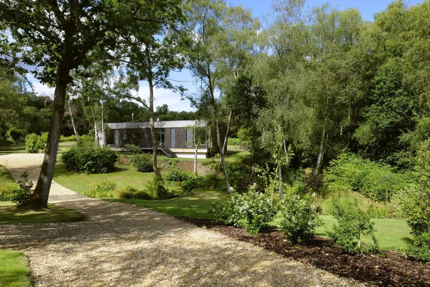 The forest setting in which Forest lodge sits